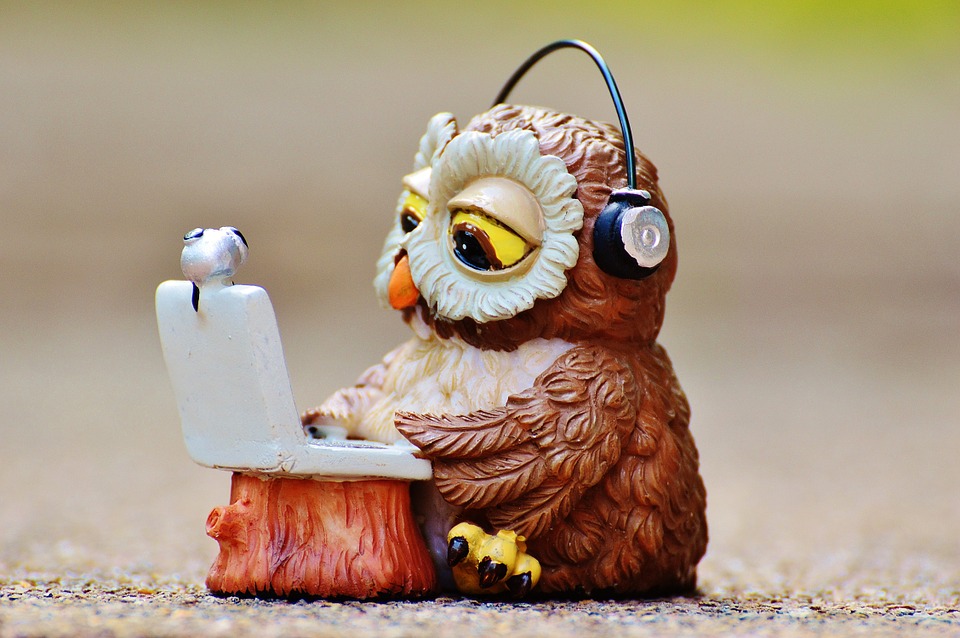 Owl-Computer-Headphones-Laptop-Funny-Notebook-947734